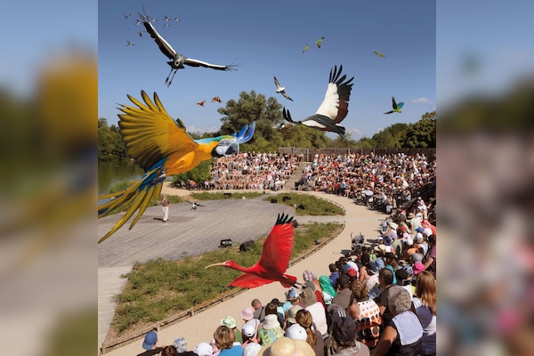 Camping Le Nid du Parc