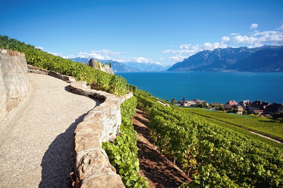 Camping Saint Disdille