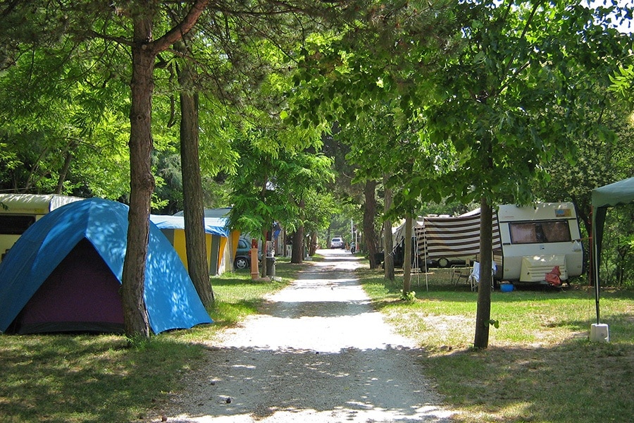 Camping Panorama