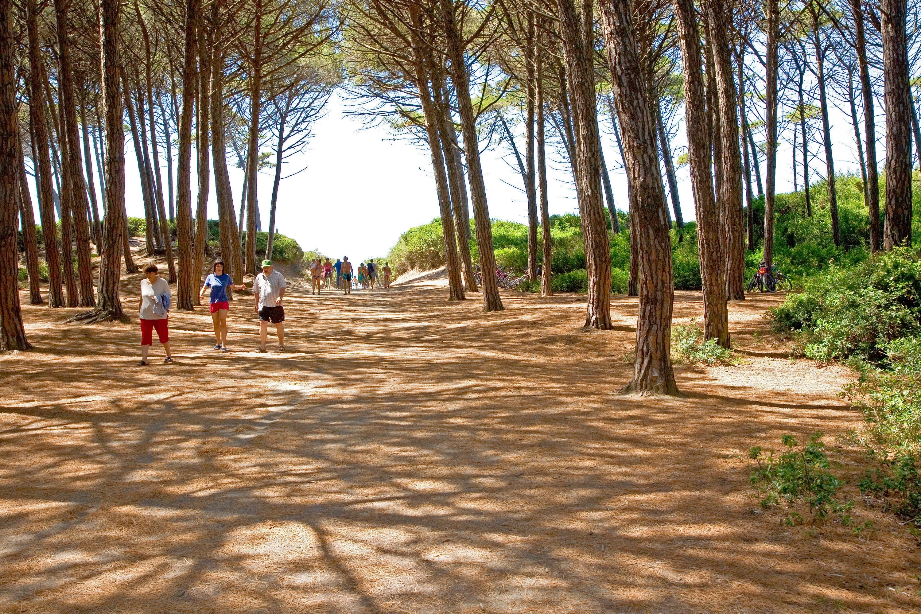 Camping Mareblu
