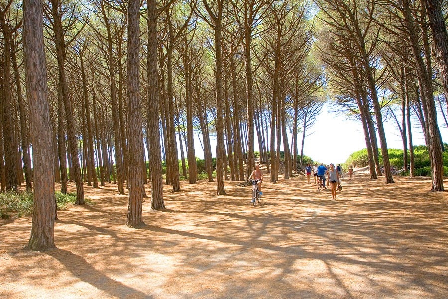 Camping Mareblu