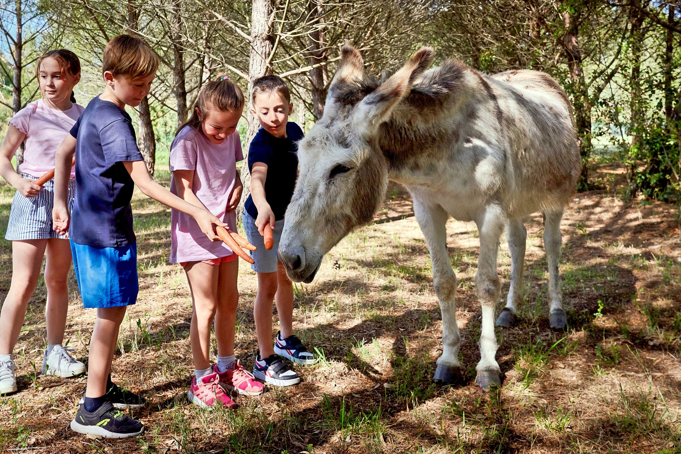 Capfun Campo dei Fiori