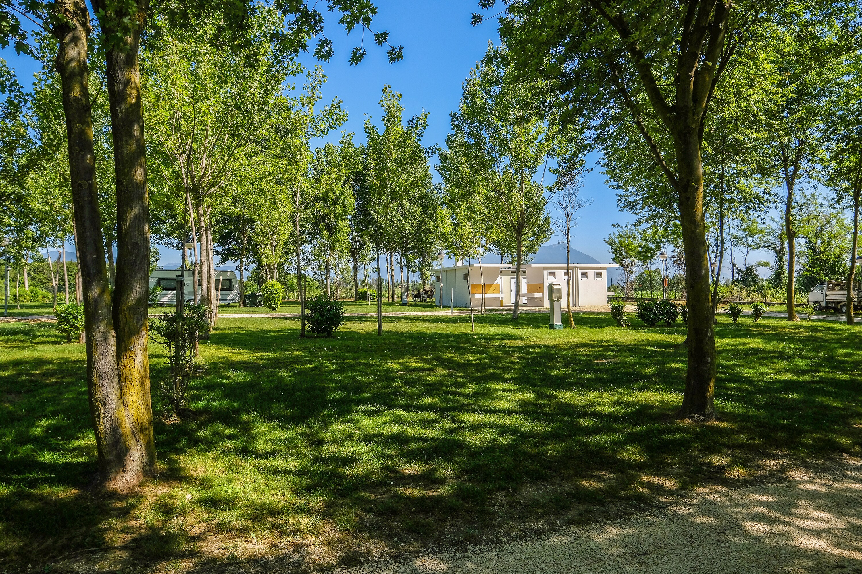 Iris Park