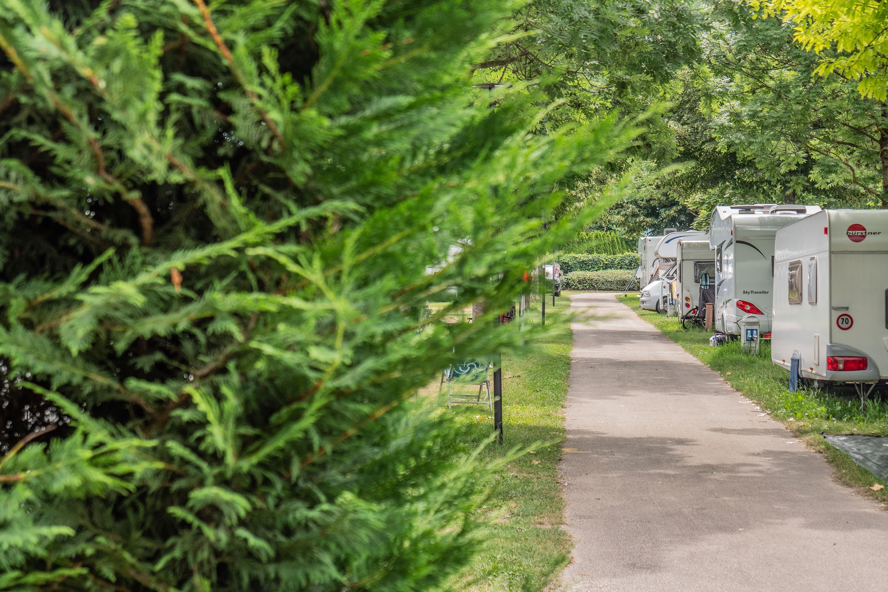 Camping Al Pescatore