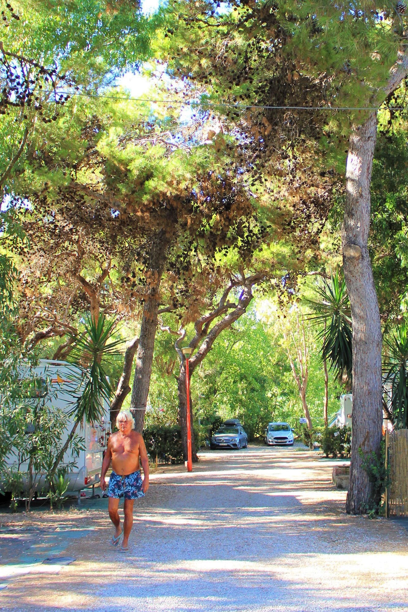 Camping Villaggio dei Pini