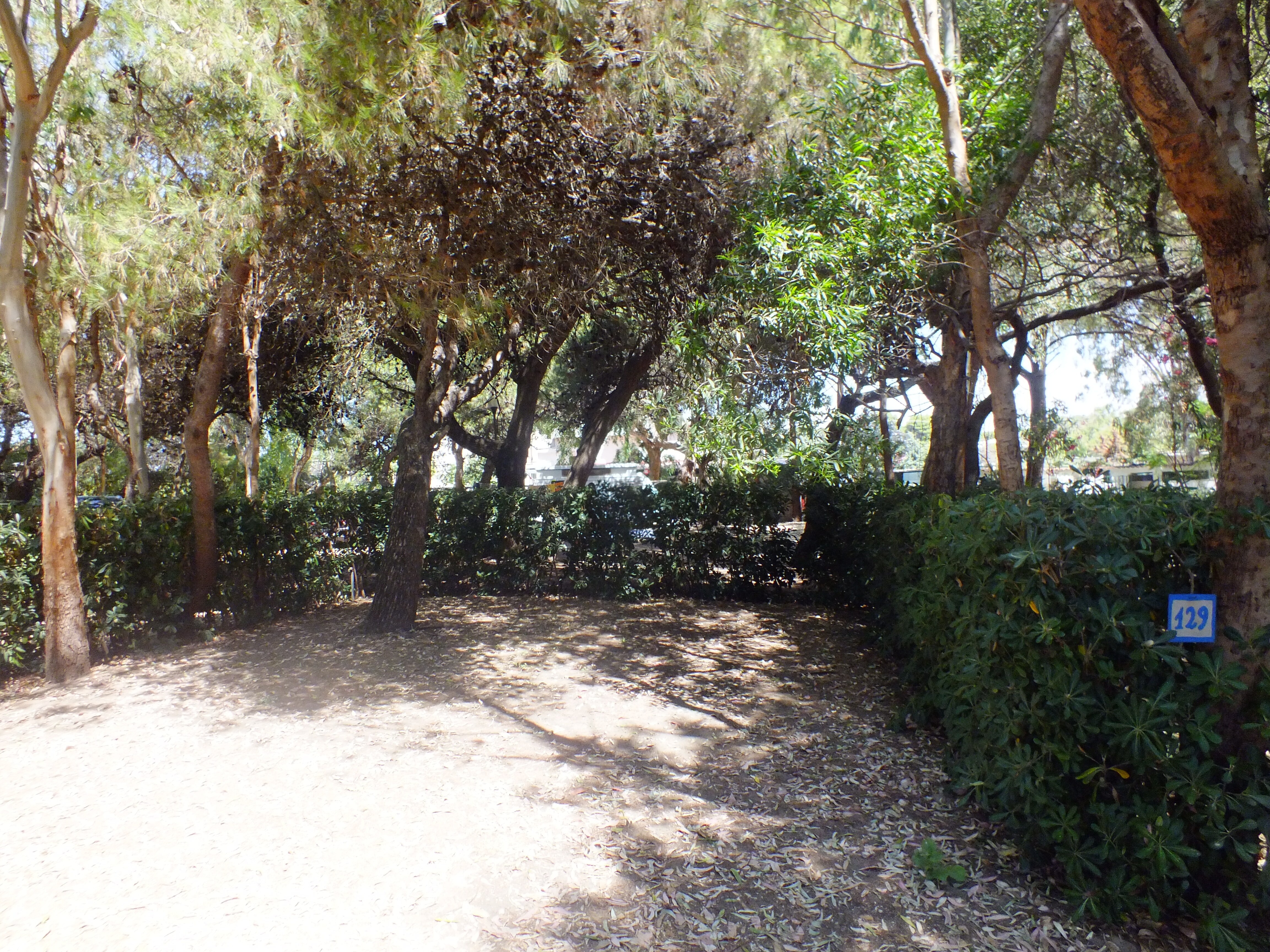 Camping Villaggio dei Pini