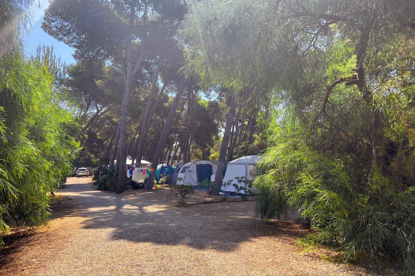 Camping Pineta al Mare