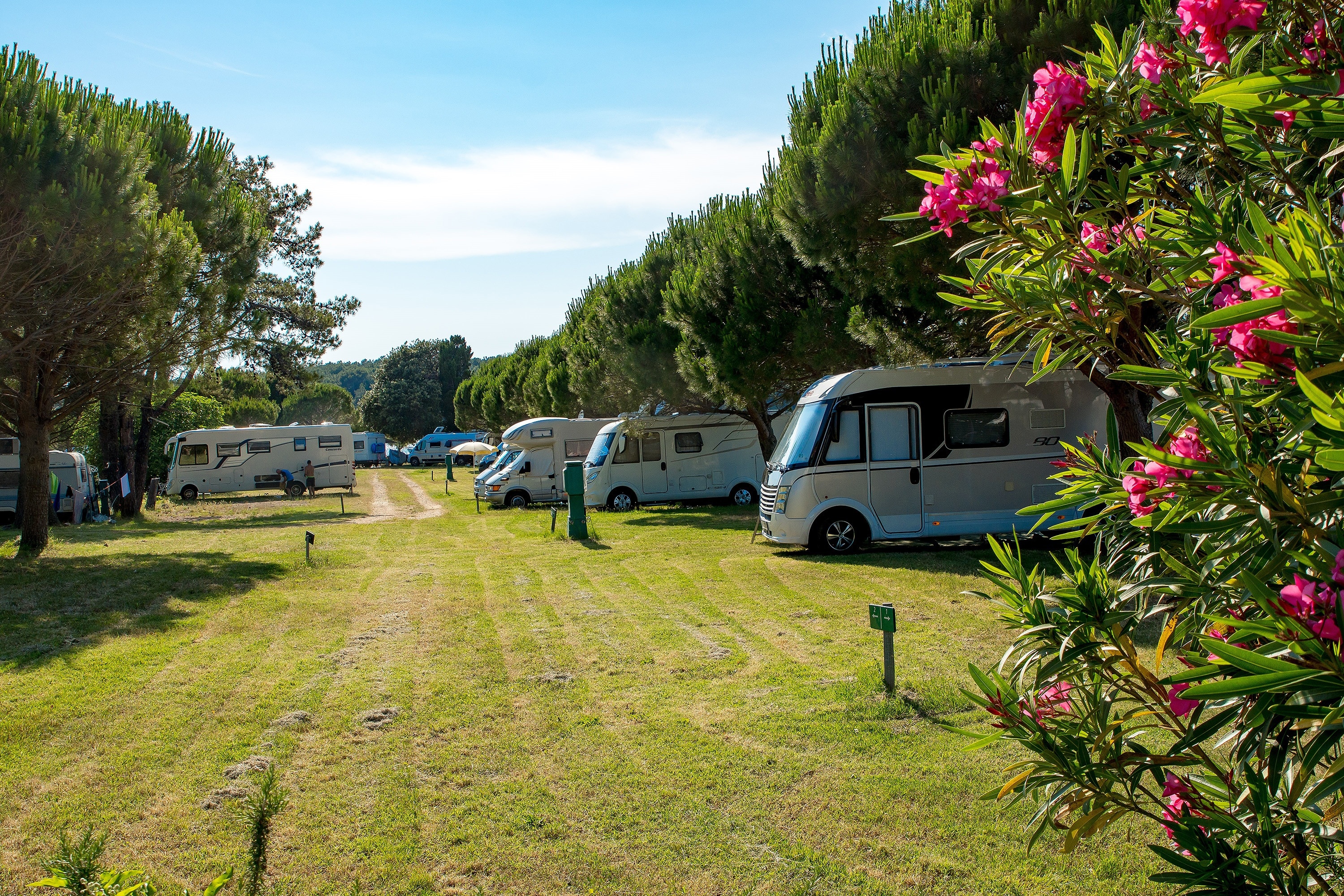 Camping Pila