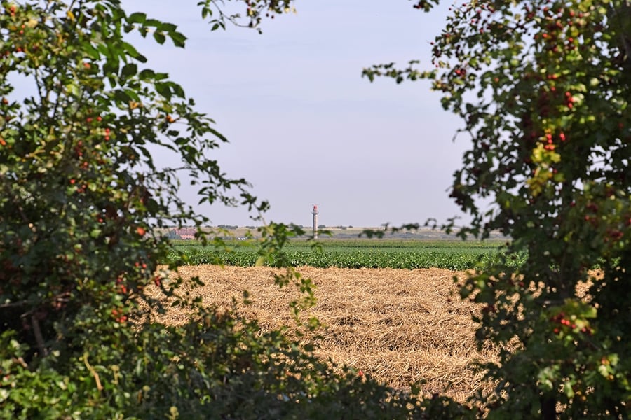 Camping Wulpen