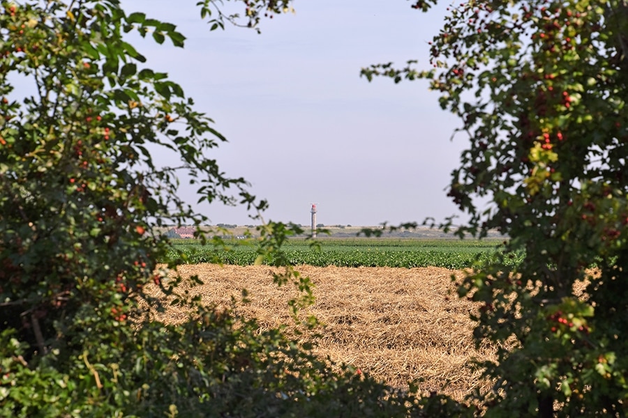 Camping Wulpen