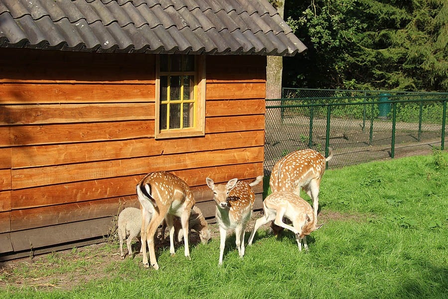 Molecaten Park De Leemkule