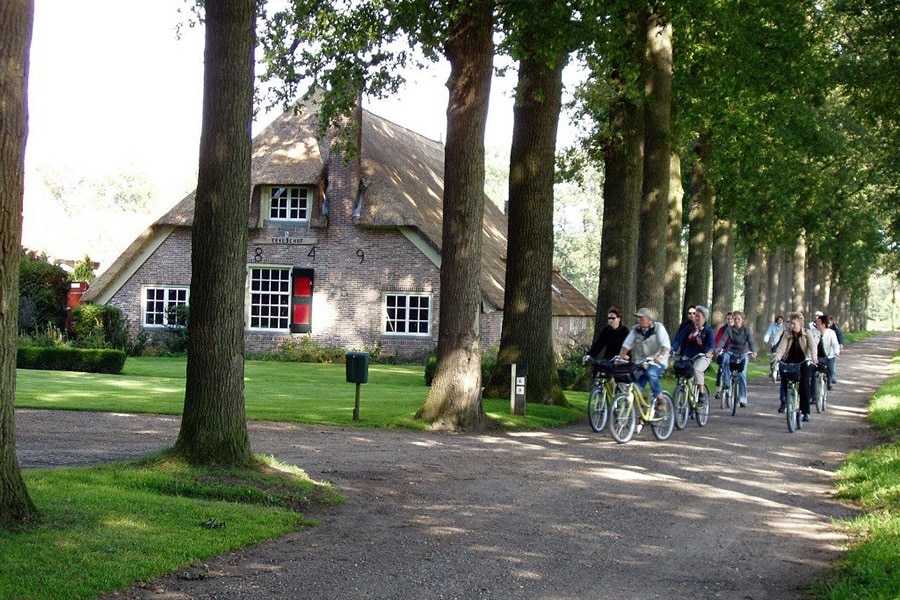 Camping Starnbosch