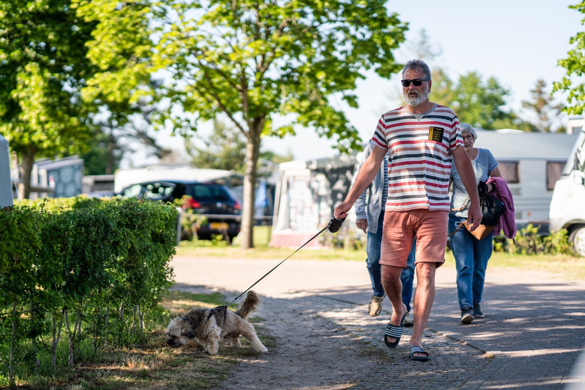 Camping De Hondsrug