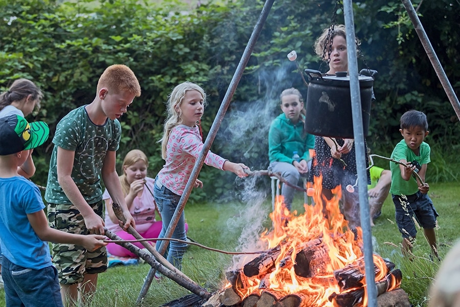 Camping De Bronzen Emmer