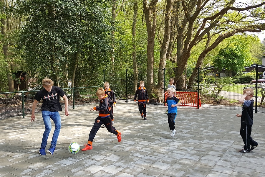 Camping De Bronzen Emmer