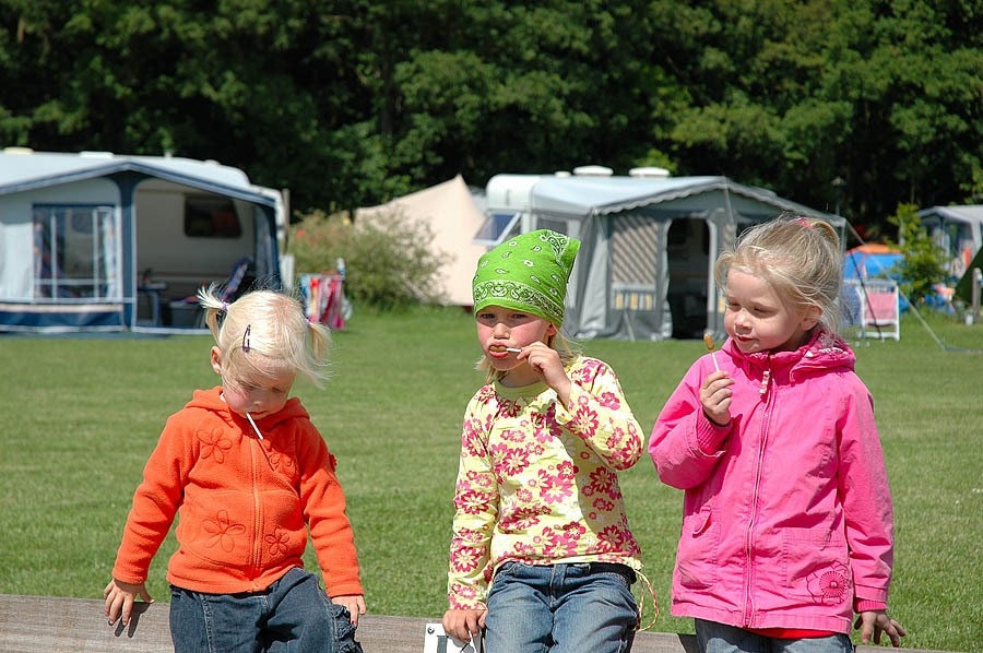 Camping De Bronzen Emmer