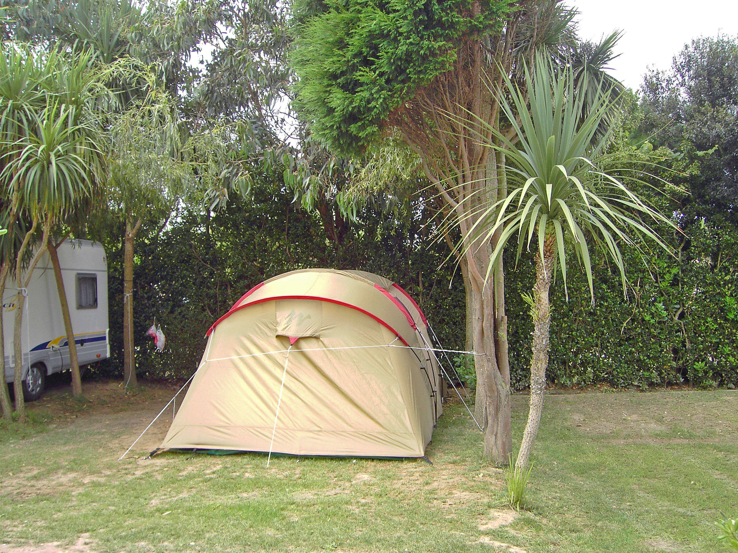 Gaivota Camping