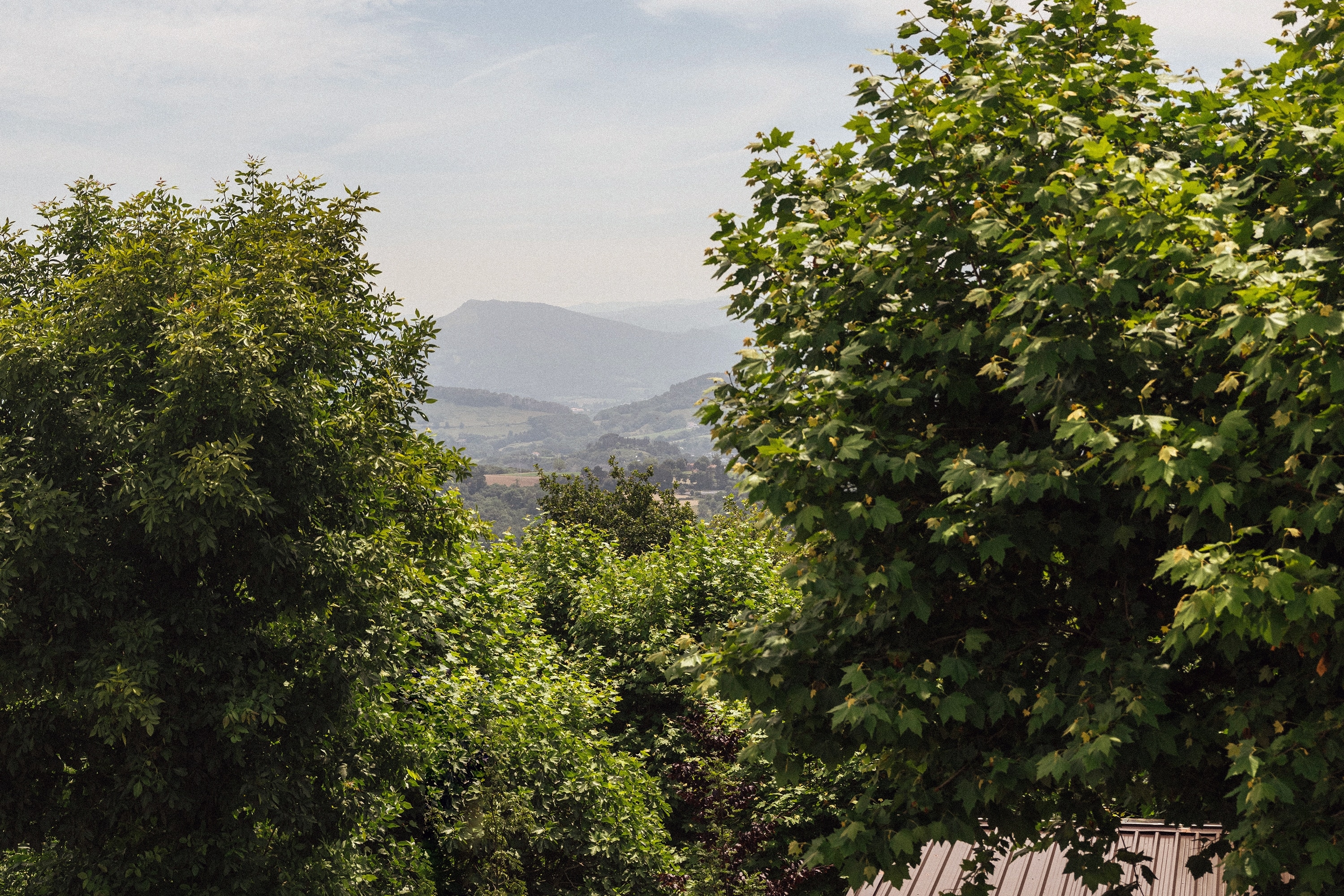 wecamp San Sebastián