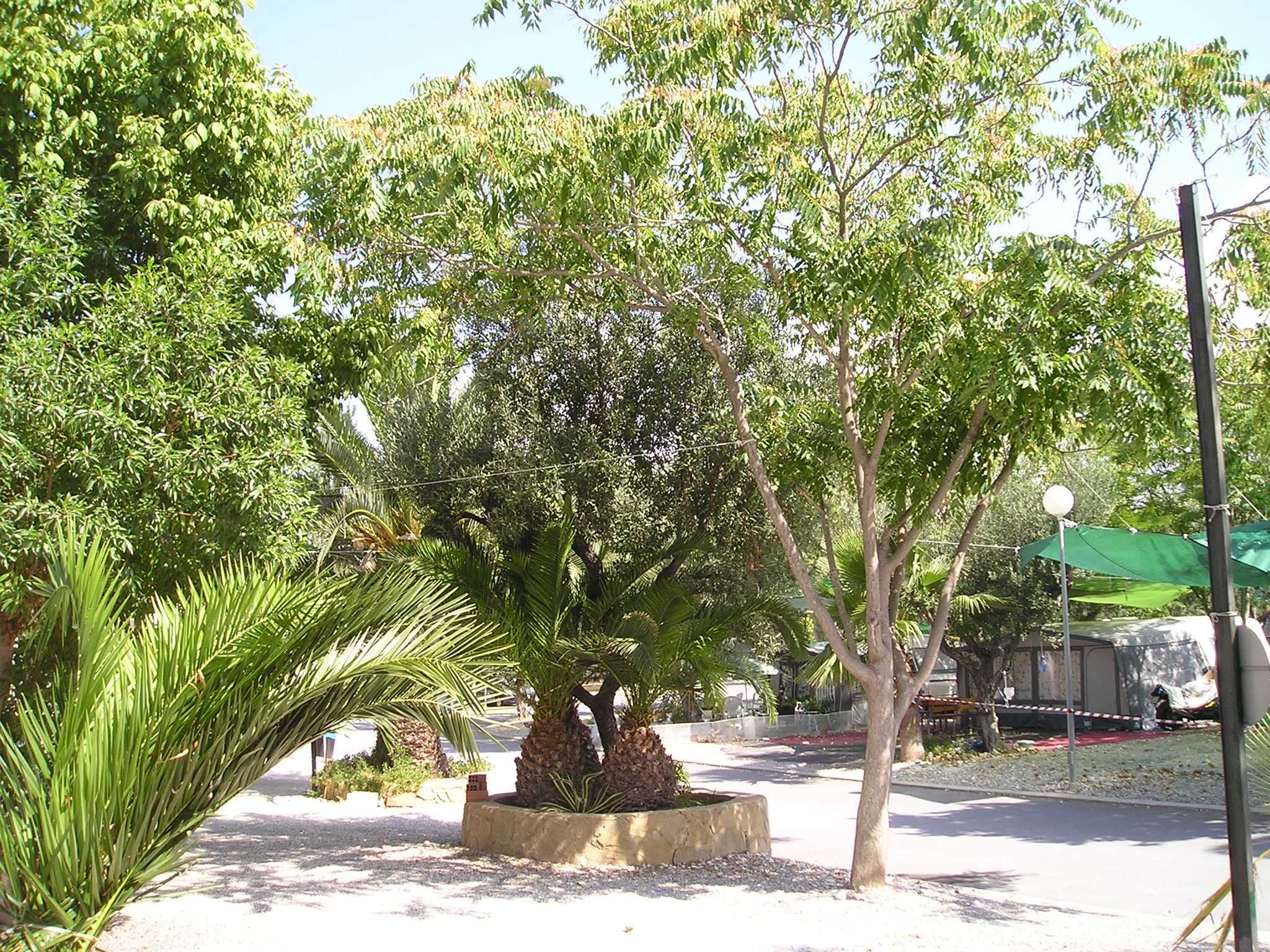 Camping Cap-Blanch