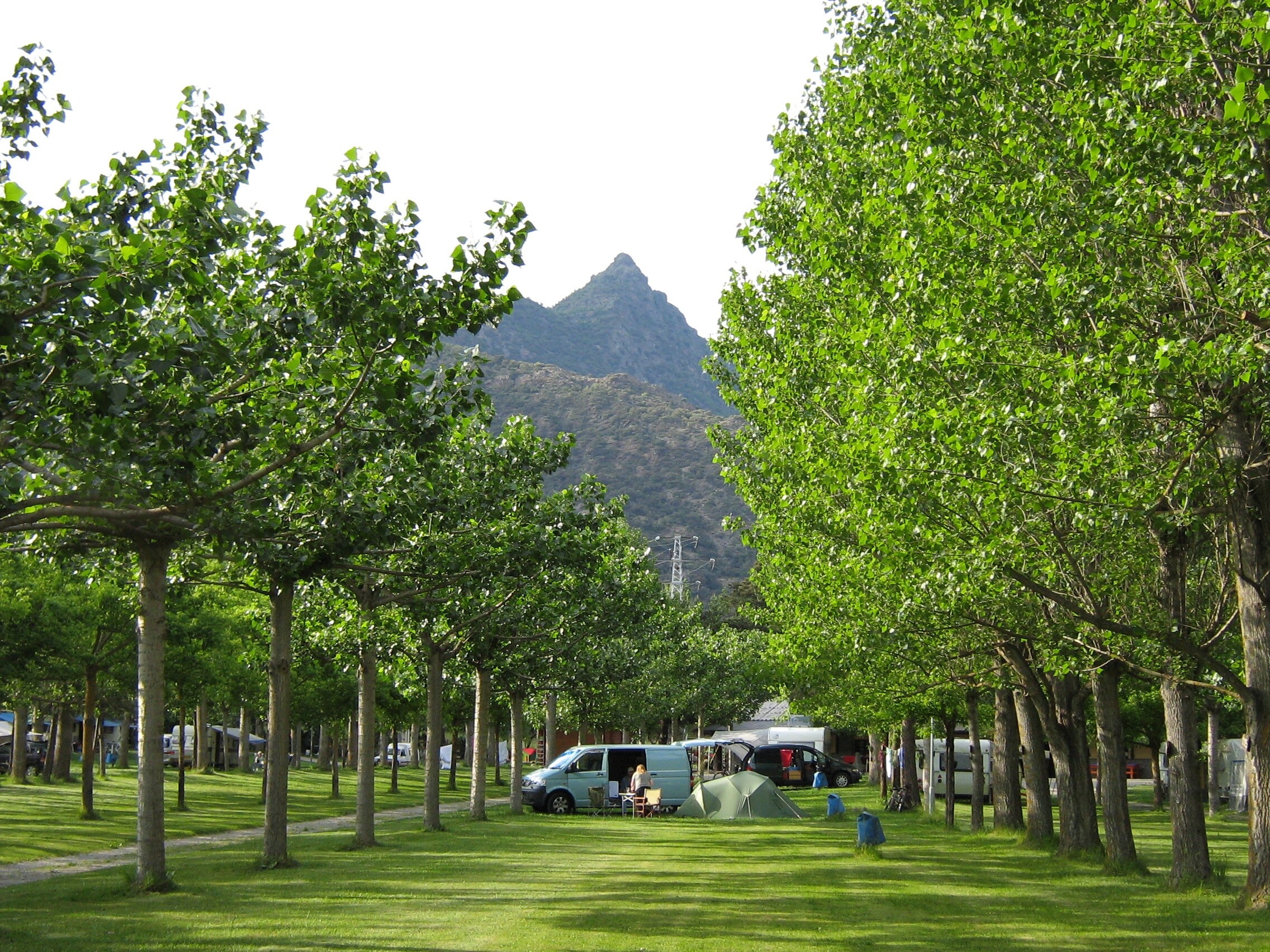 Camping Del Cardós