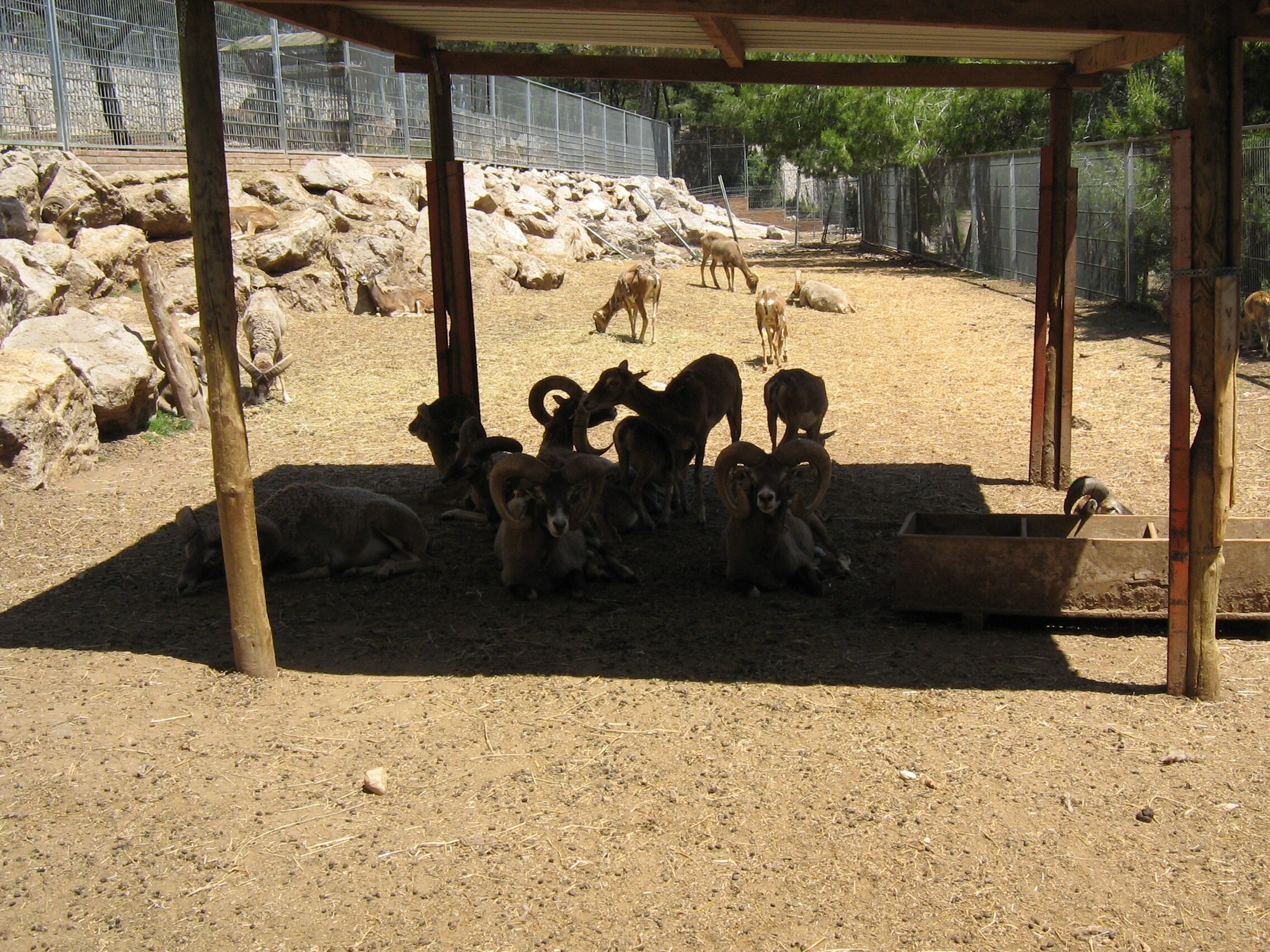 Camping Vilanova Park