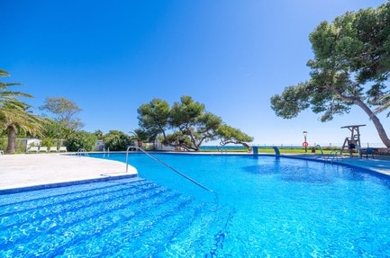 Camping Las Palmeras