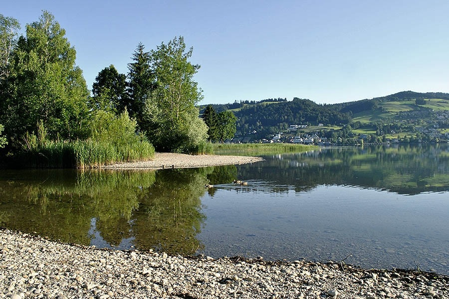 Camping Unterägeri