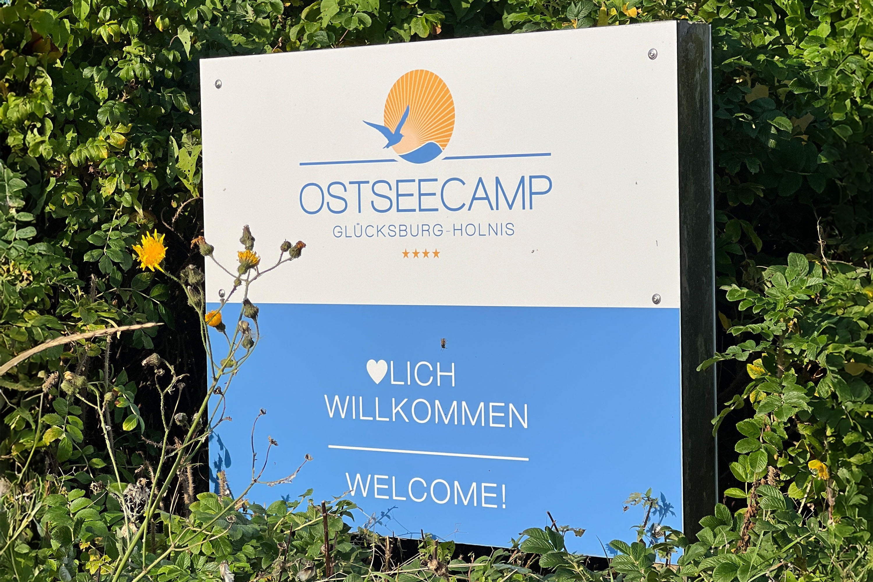 Ostseecamp Glücksburg-Holnis