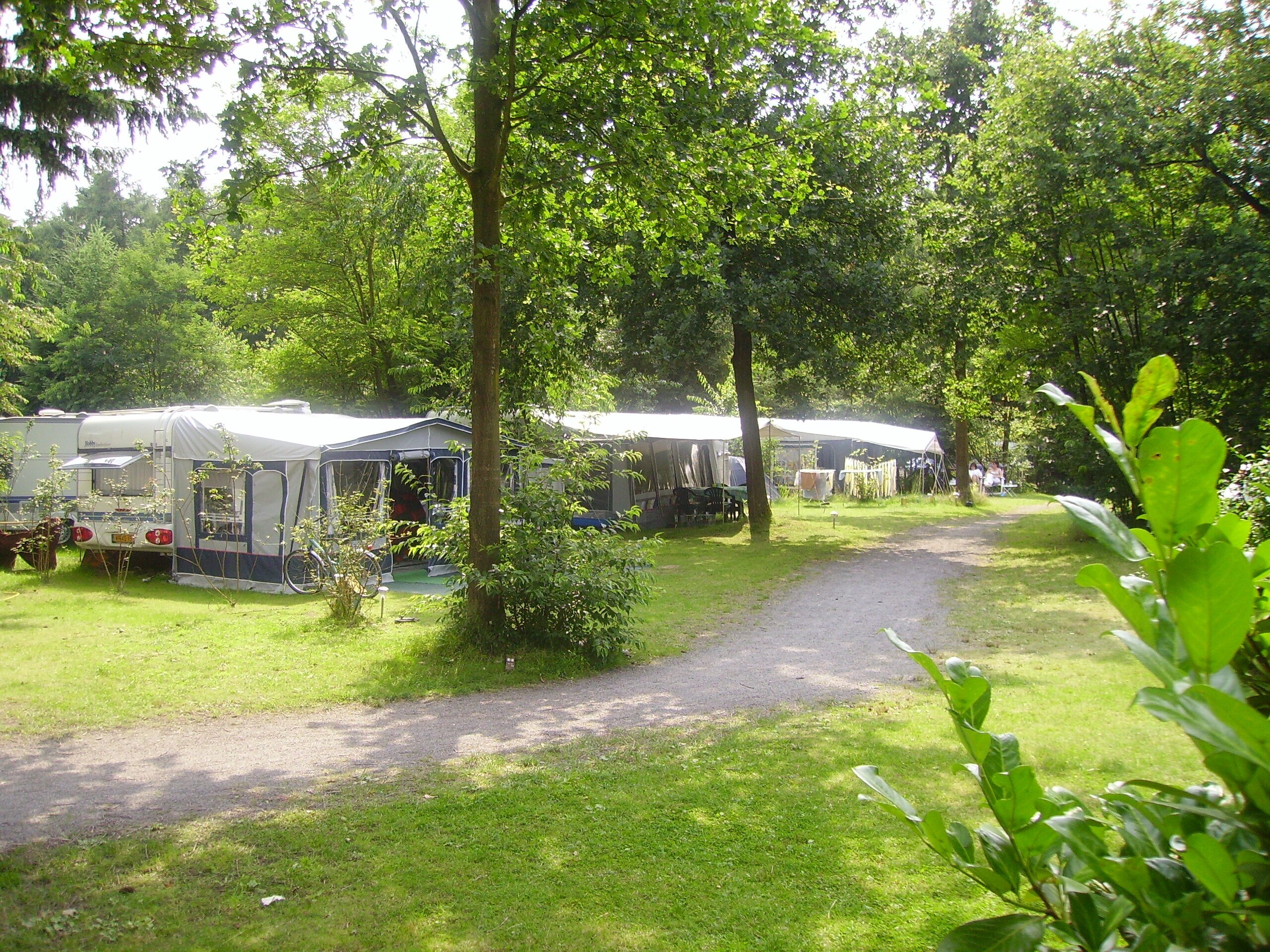 Camping De Wildhoeve