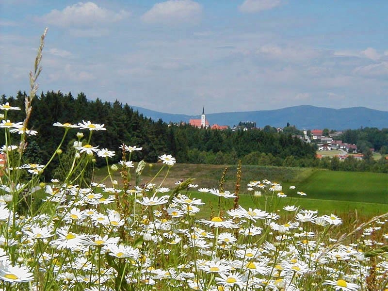 Bavaria Kur- und Sport Camping