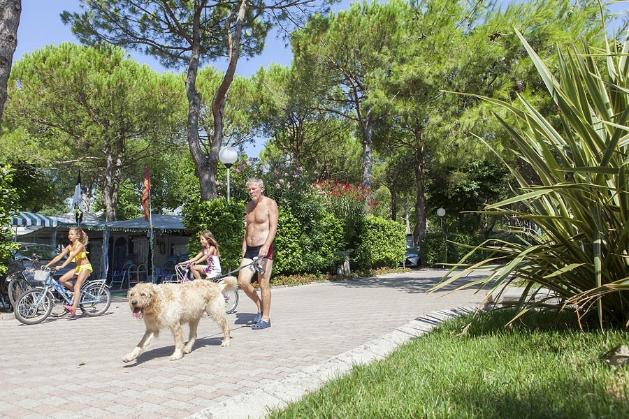 Camping Village Scarpiland