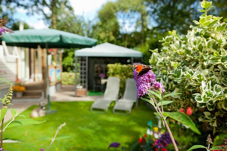 Camping De Spaendershorst