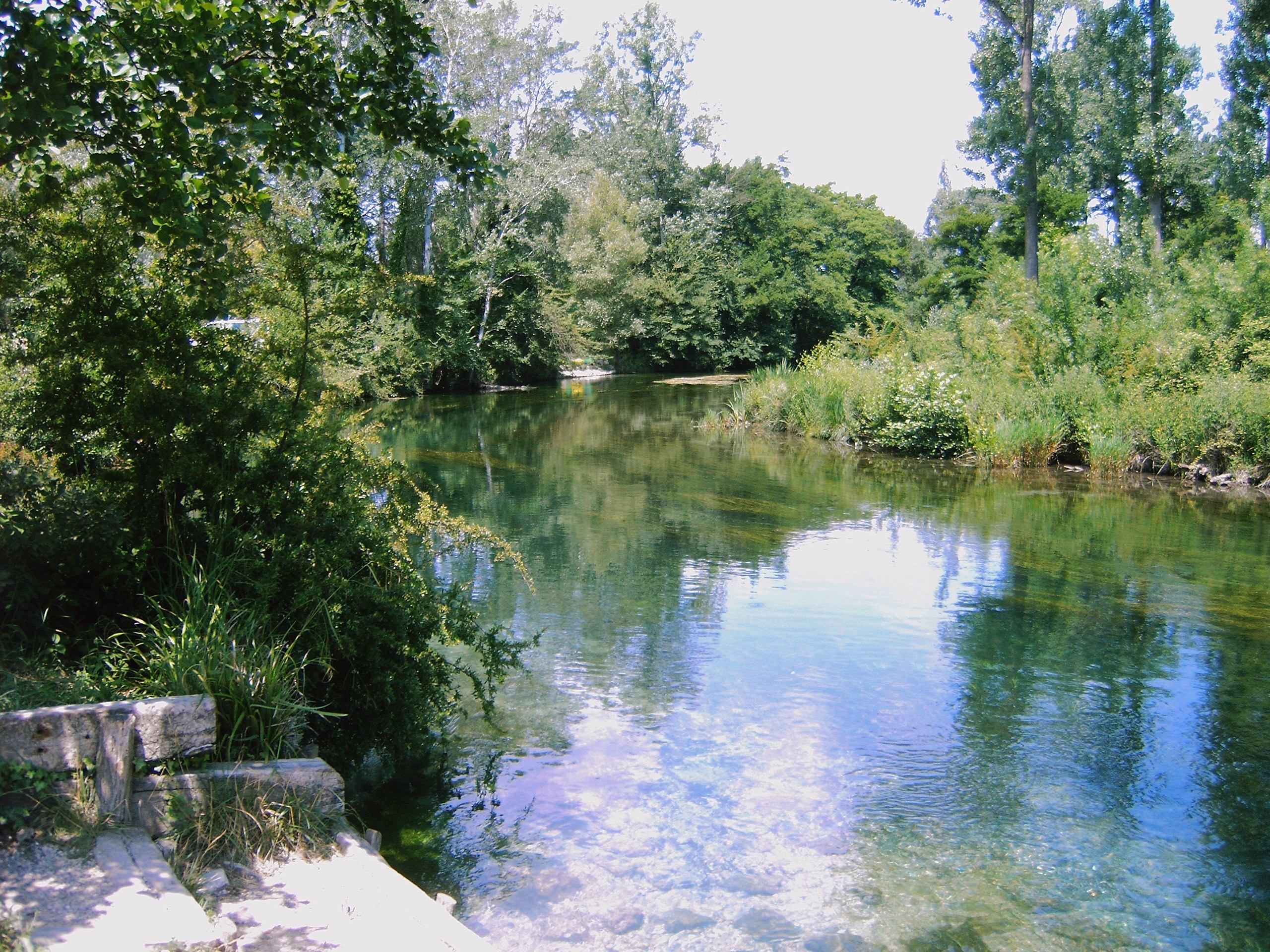 La Sorguette