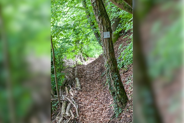 Camping de la Moselle