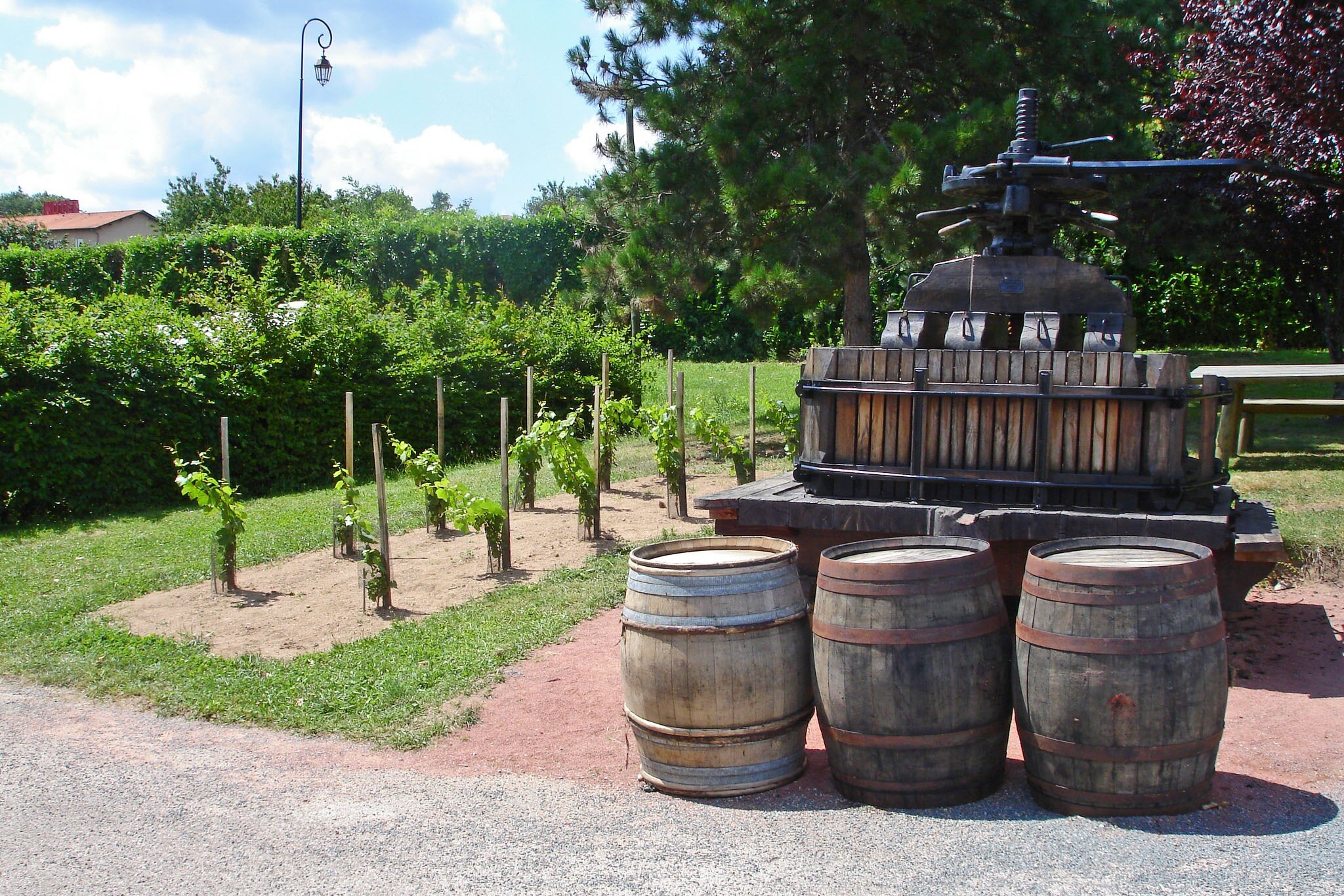 Camping La Grappe Fleurie
