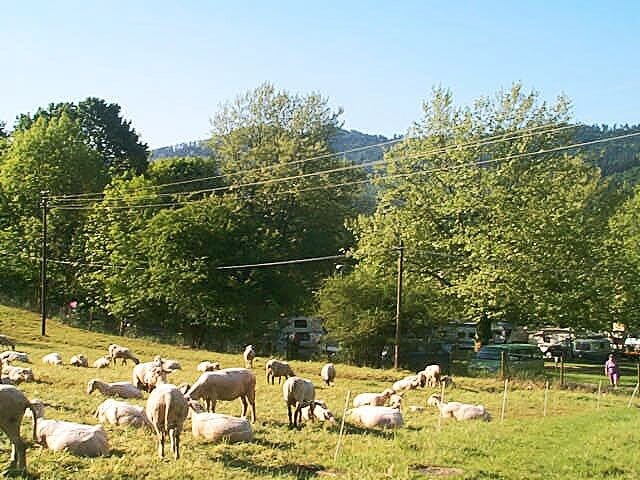 Freiburg Camping Hirzberg