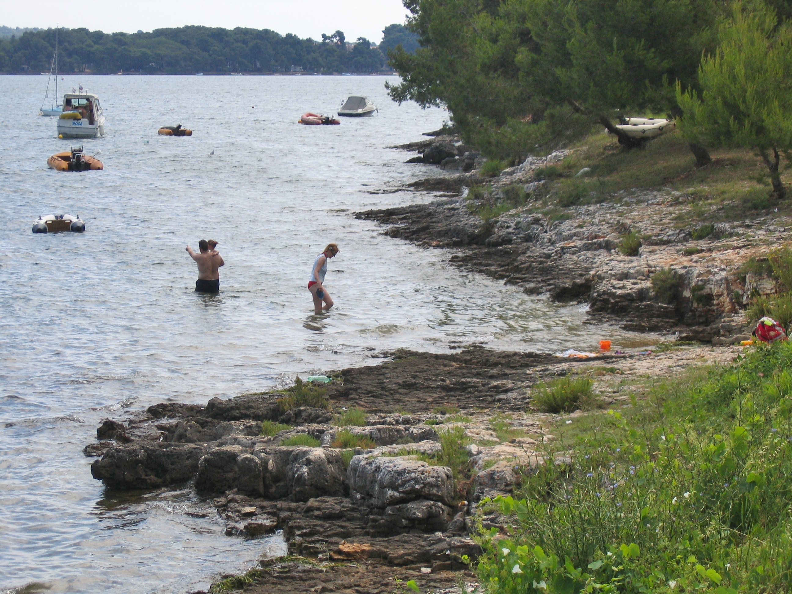 Arena Tašalera Campsite