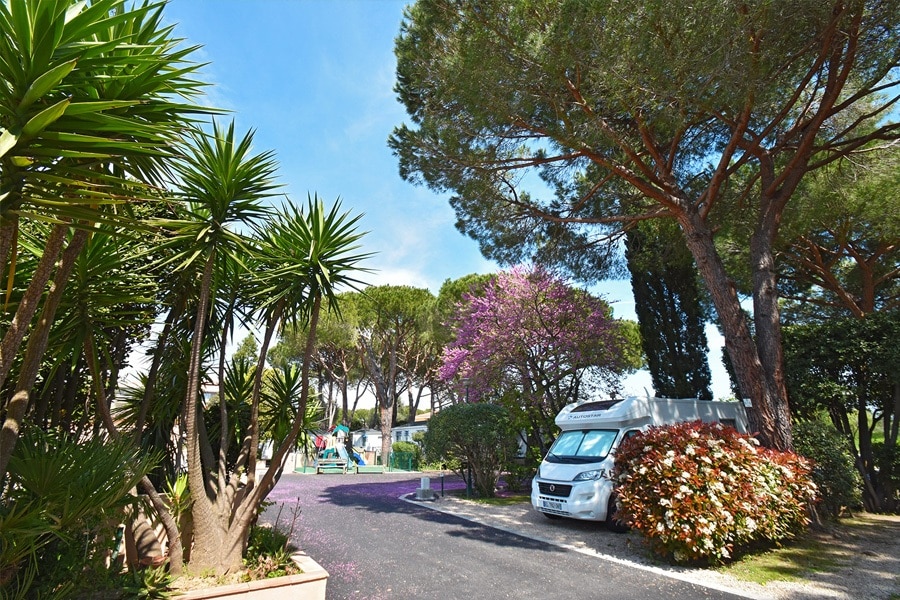 Camping Les Cigales
