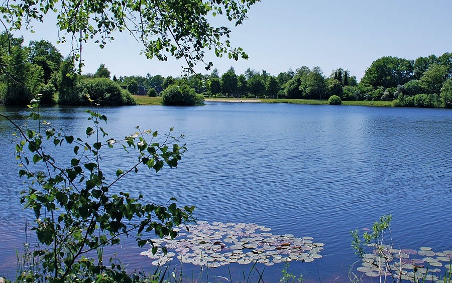 Camping & Ferienpark Falkensteinsee