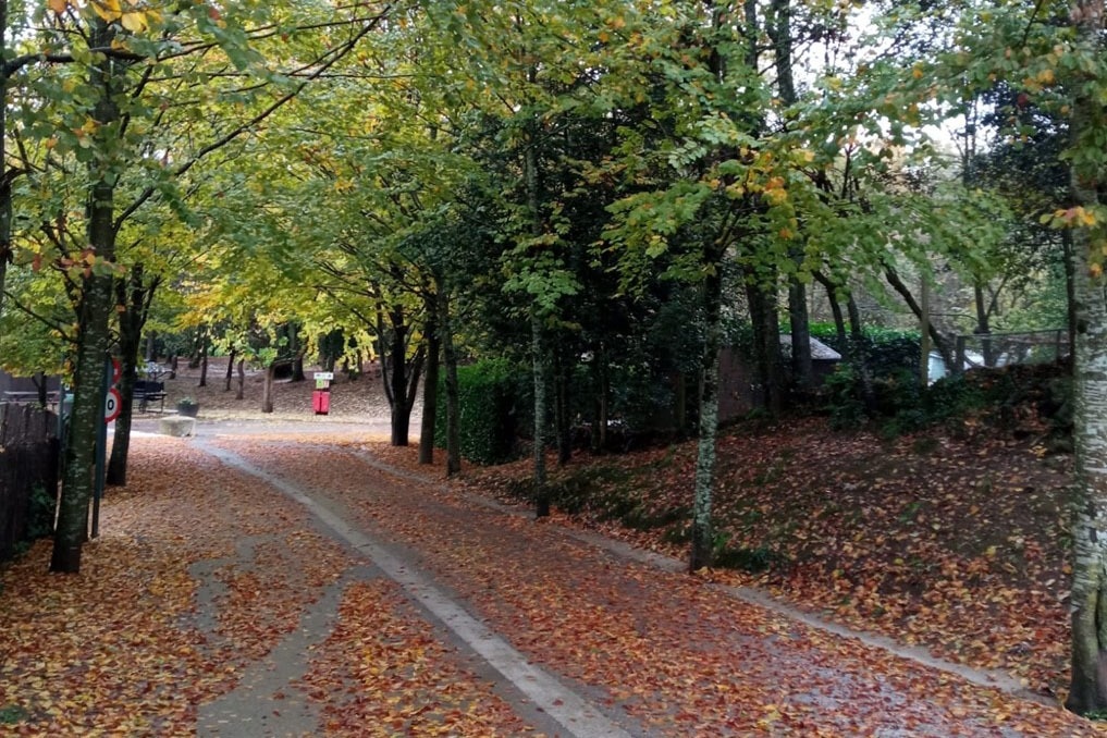 Camping La Fageda