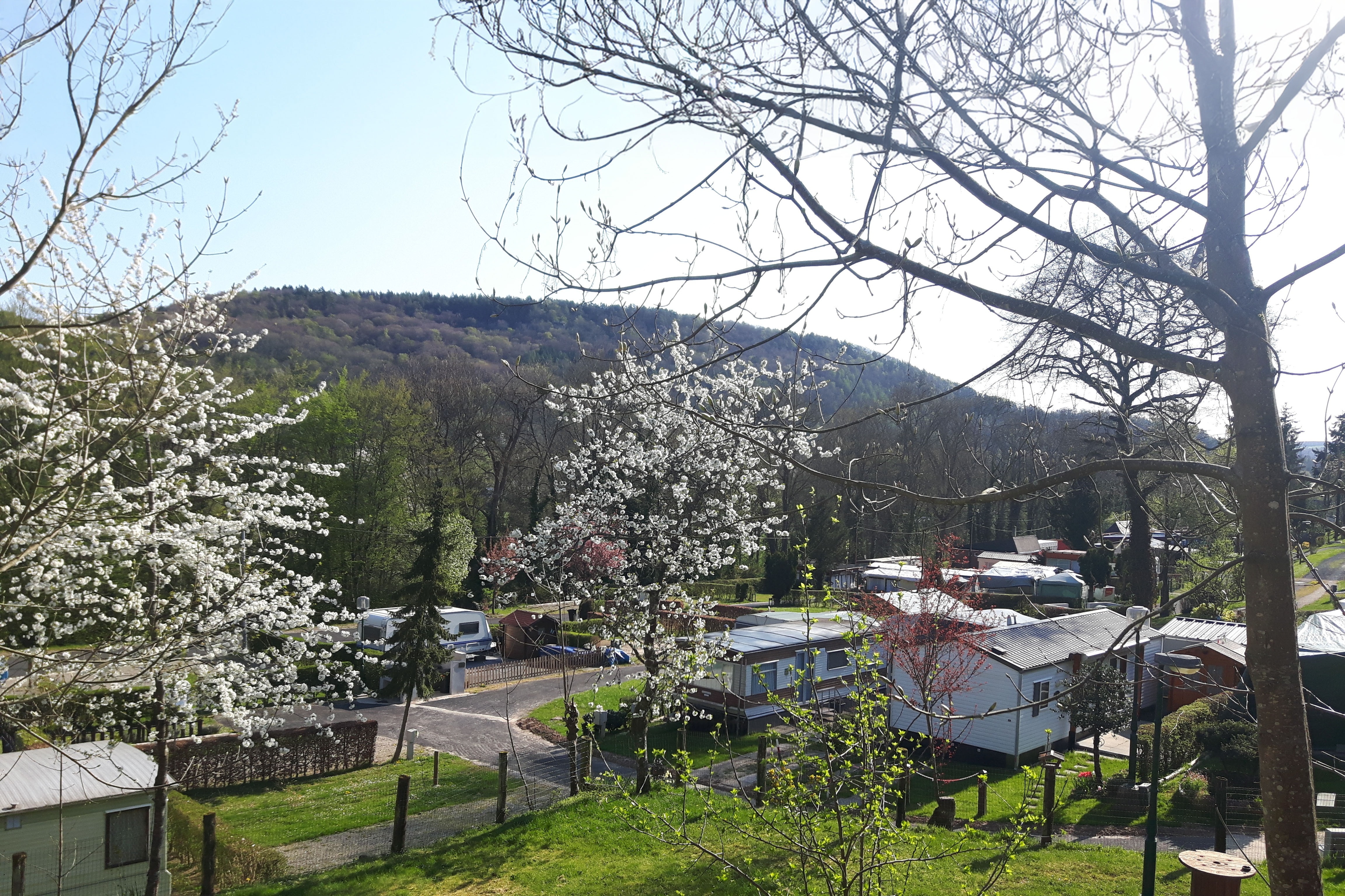 Camping Officiel Wollefsschlucht