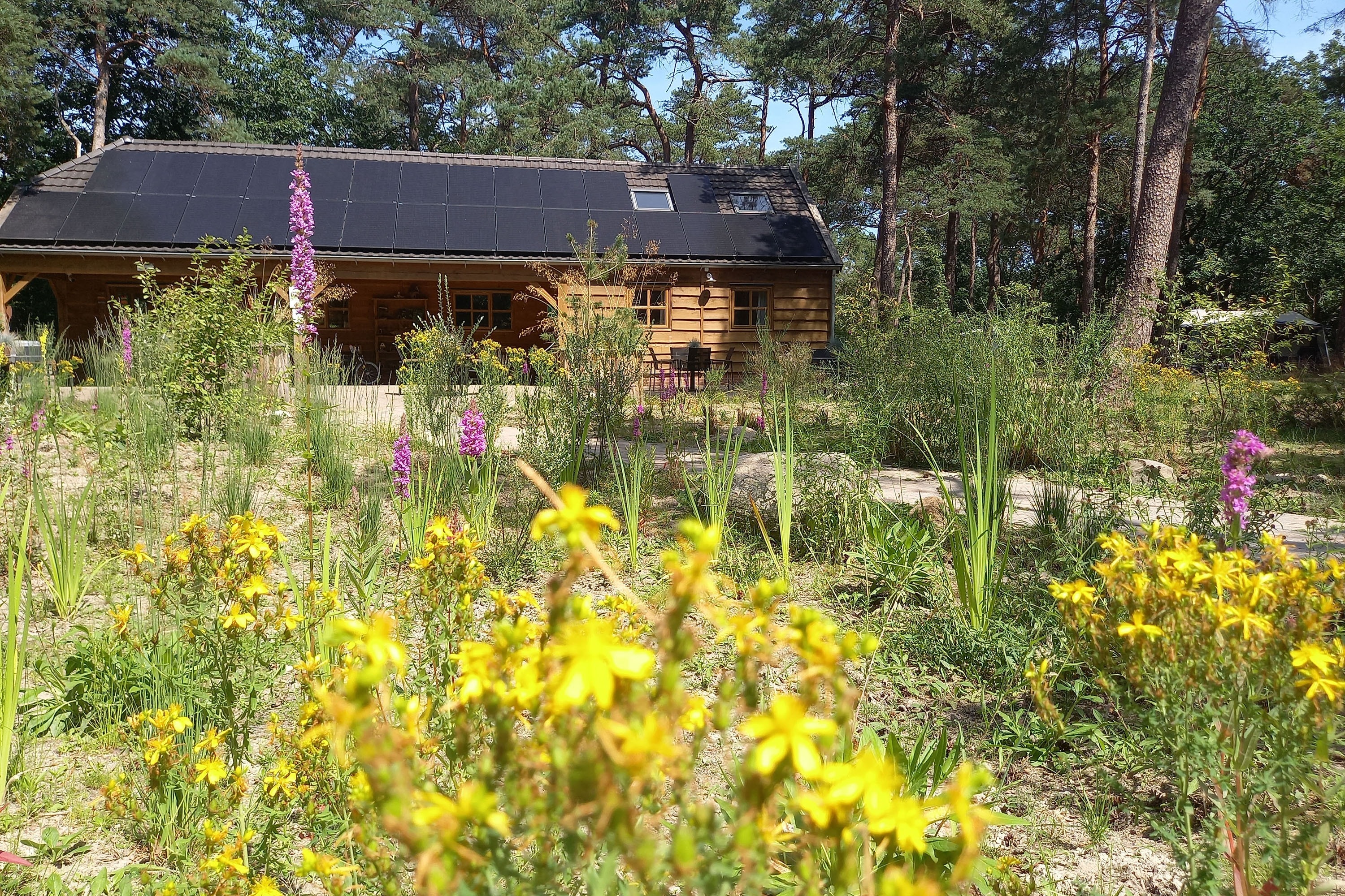 Bospark Langeloërduinen