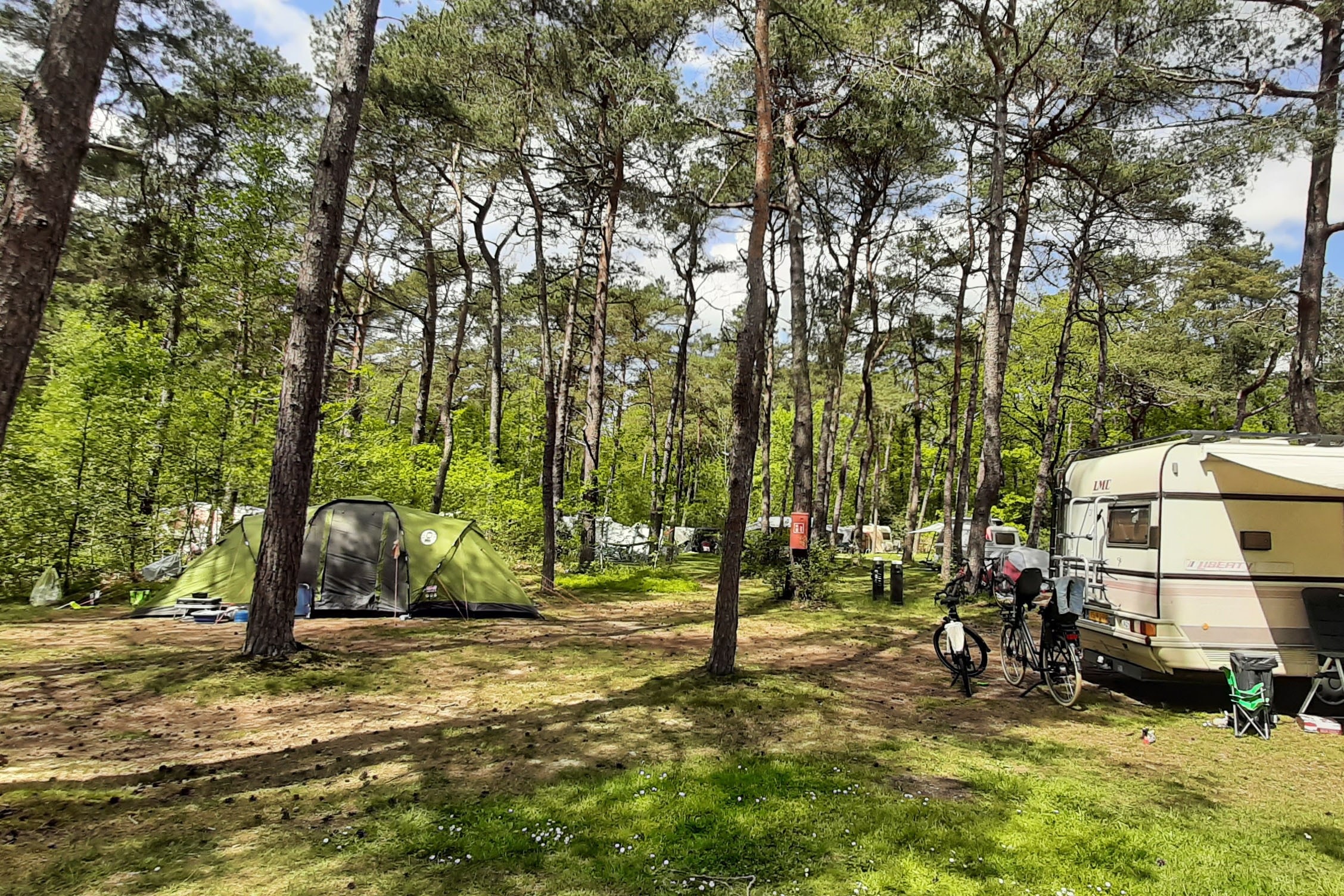 Bospark Langeloërduinen