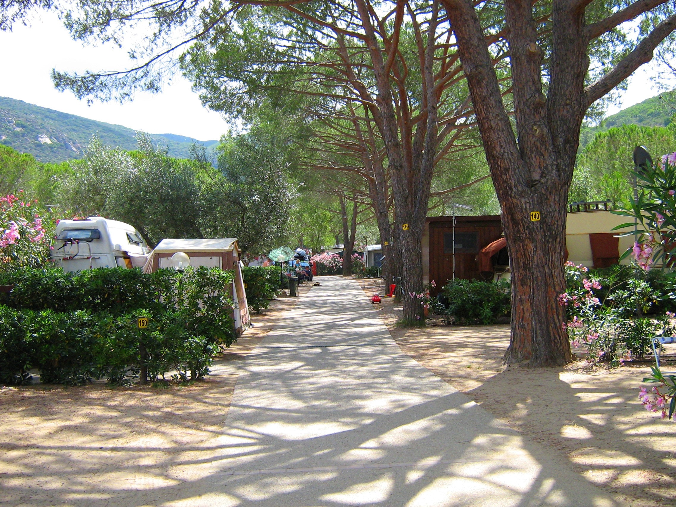 Camping Ville degli Ulivi