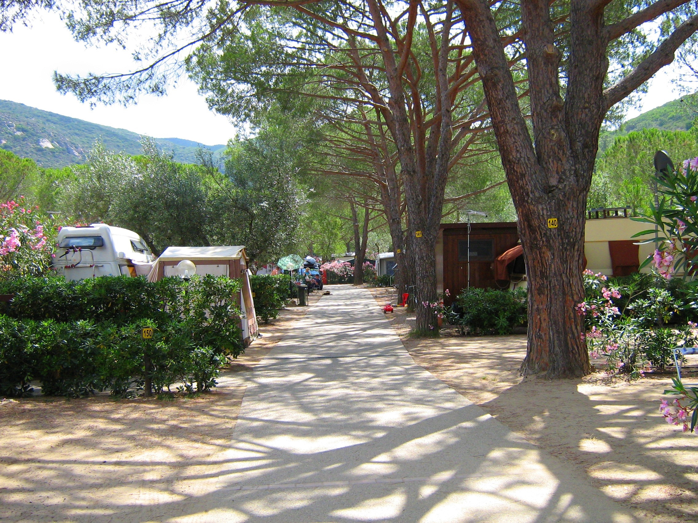 Camping Ville degli Ulivi