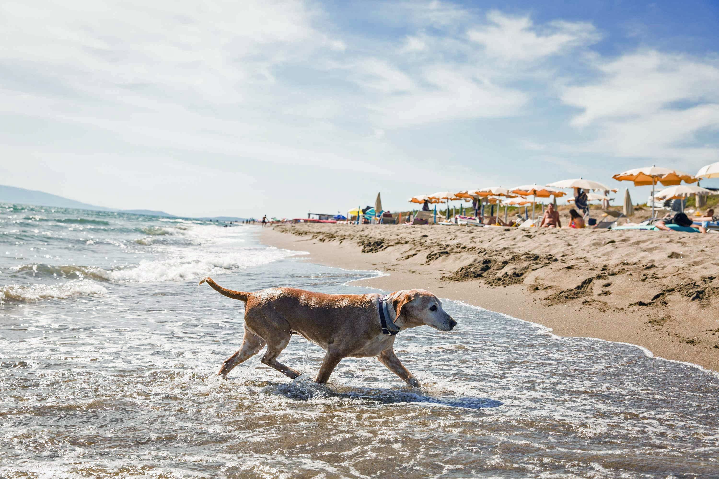 Gitavillage Club degli Amici