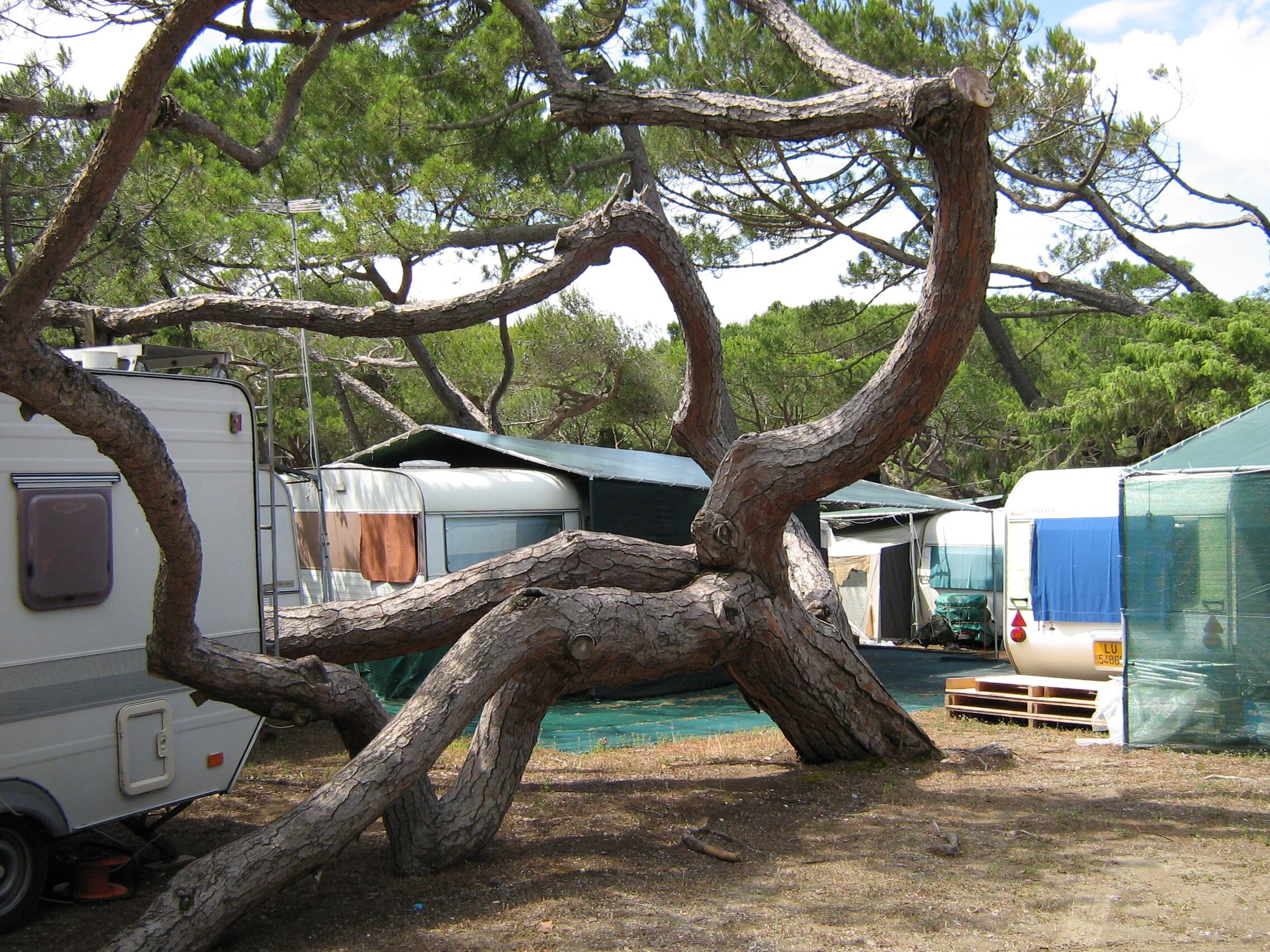 Camping Belmare