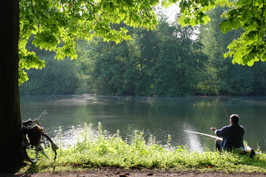 ParcCamping de Witte Vennen