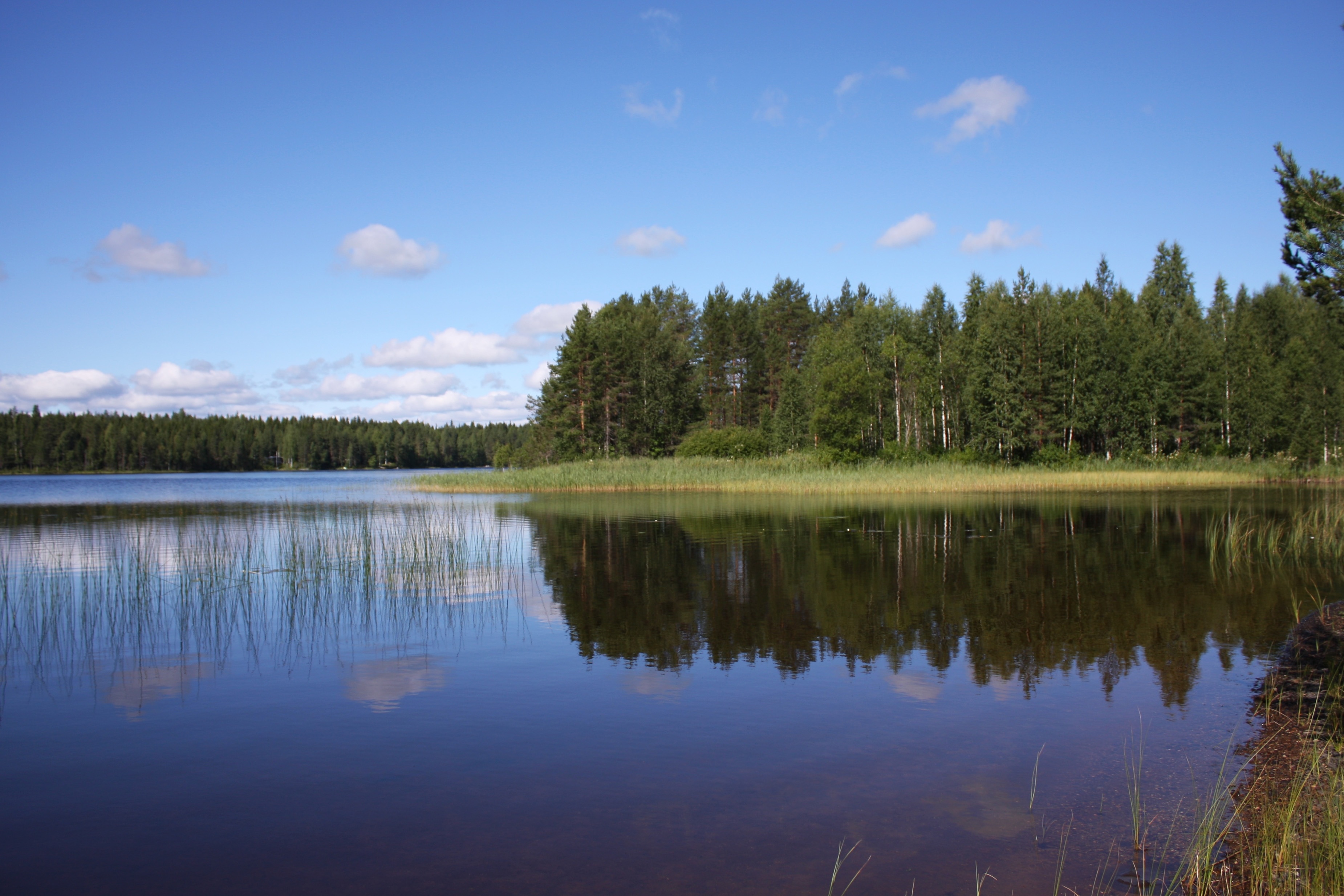 Camping Koli Freetime