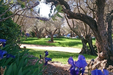 Camping Alquézar
